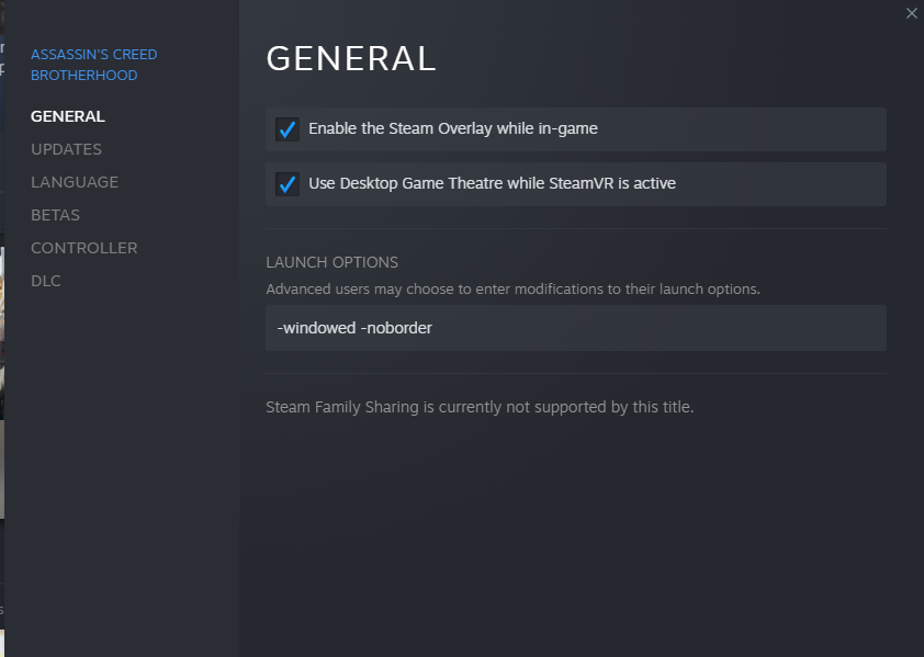 steam launch options