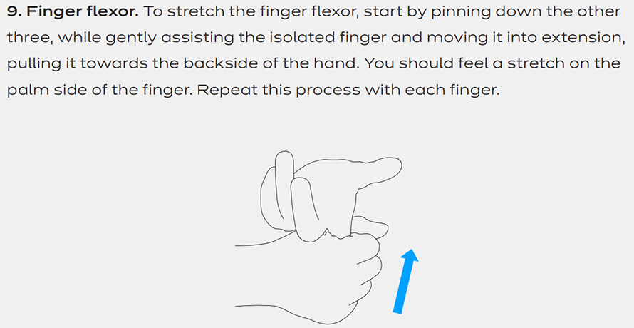 finger flexor
