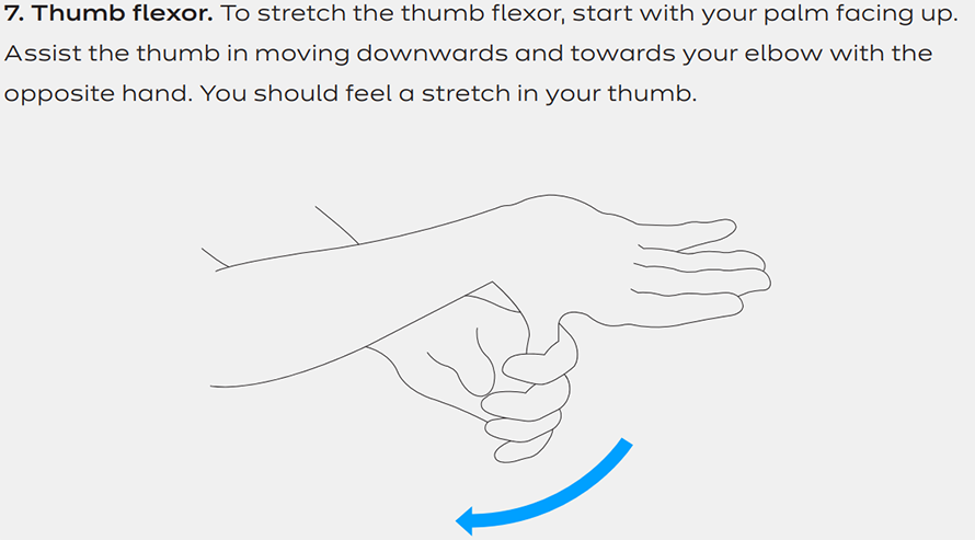 thumb flexor