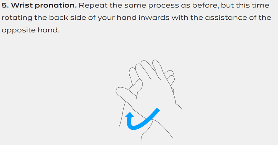 wrist pronation