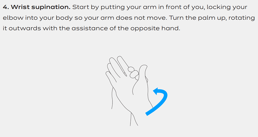 wrist supination