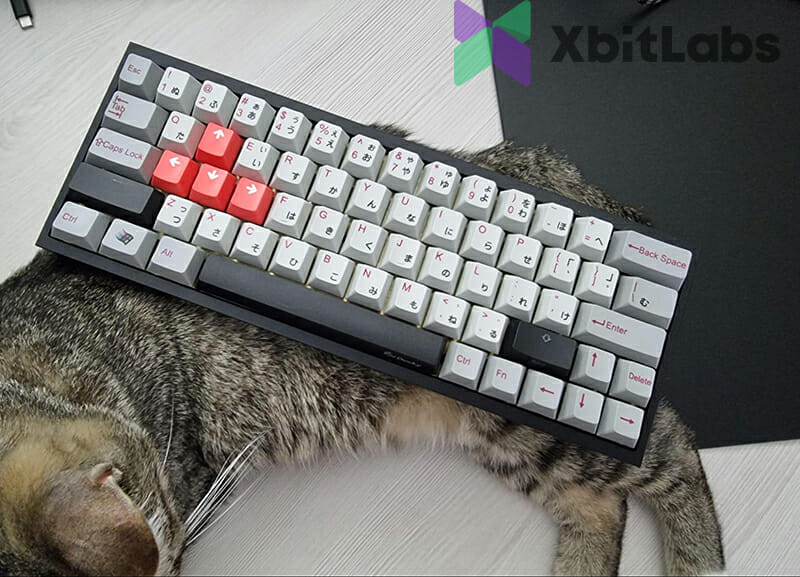 modded keyboard on cat